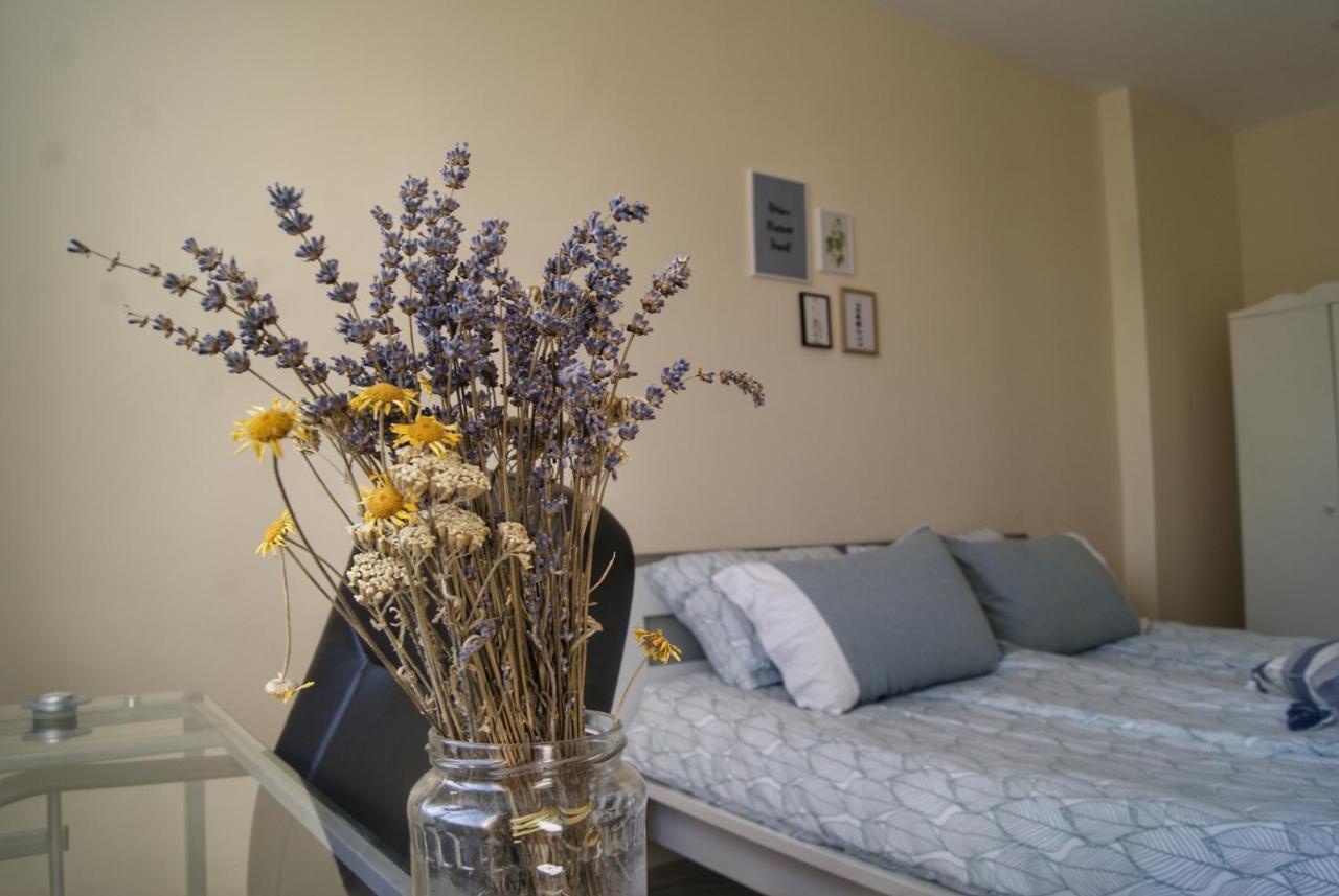 By The Cathedral - Center - 2 Bedroom Flat Warna